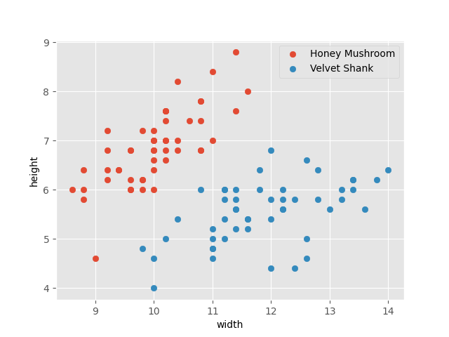 fungi-data-points