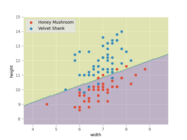 fungi-optimal-model-soft