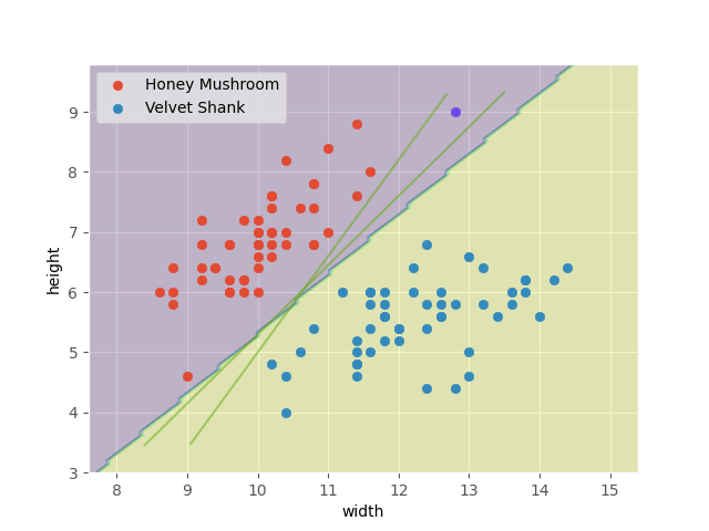 fungi-optimal-model