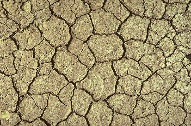 drying-mud